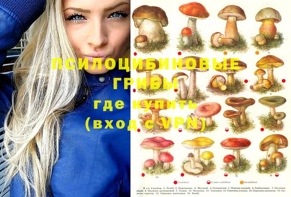 не бодяженный Новозыбков