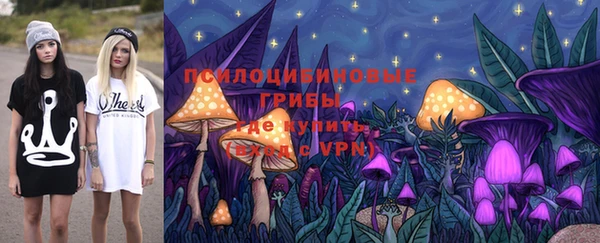 не бодяженный Новозыбков