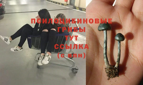 мефедрон мука Новодвинск