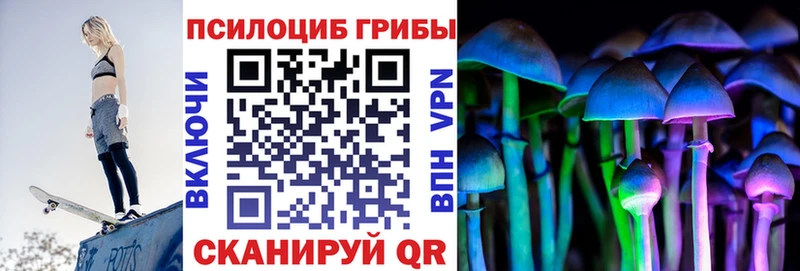 дарнет шоп Миллерово Галлюциногенные грибы Cubensis